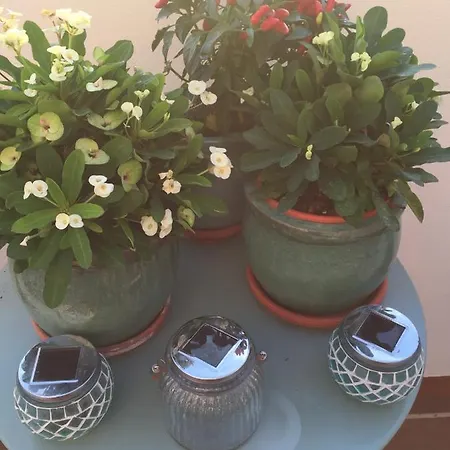 Bed & Breakfast Casa Louisa, Torre Del Mar- Valleniza Velez Malaga